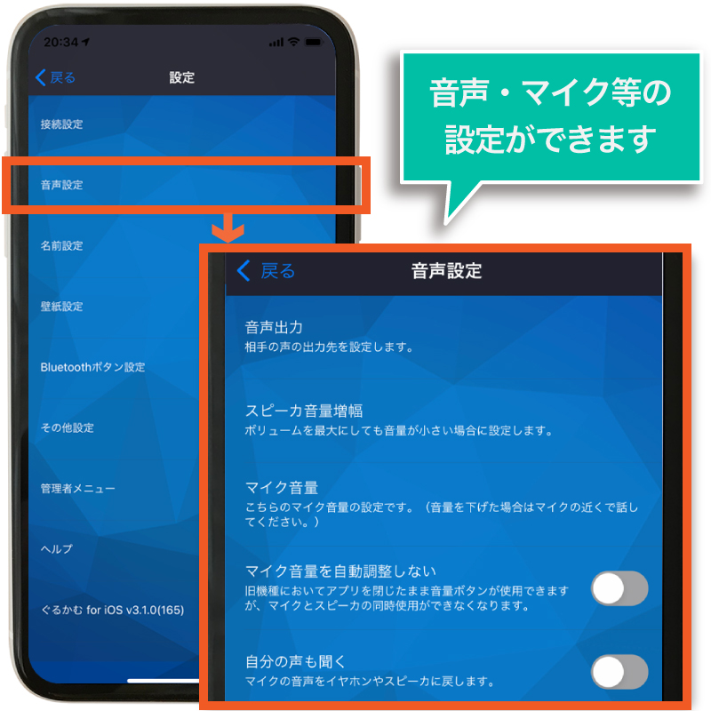 音声設定